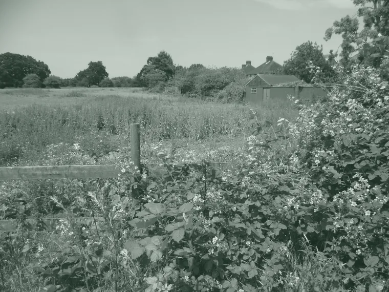 Hay meadow and hedgerow at Fryent Country Park, Wembley